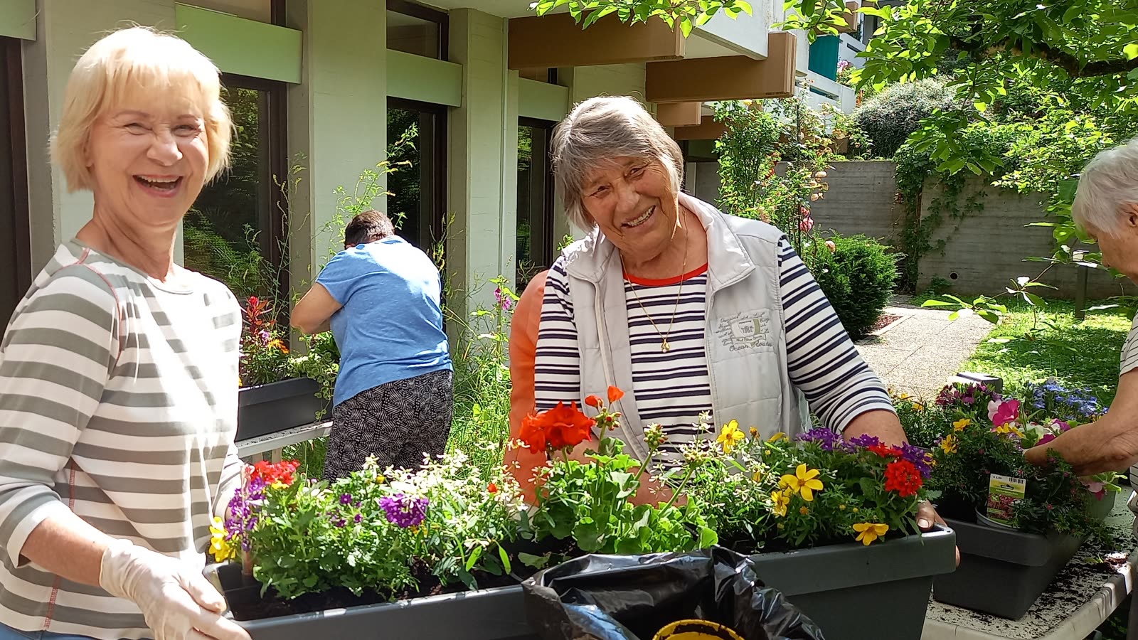 Mieterinnen bepflanzen die Blumenkästen vor dem Haus